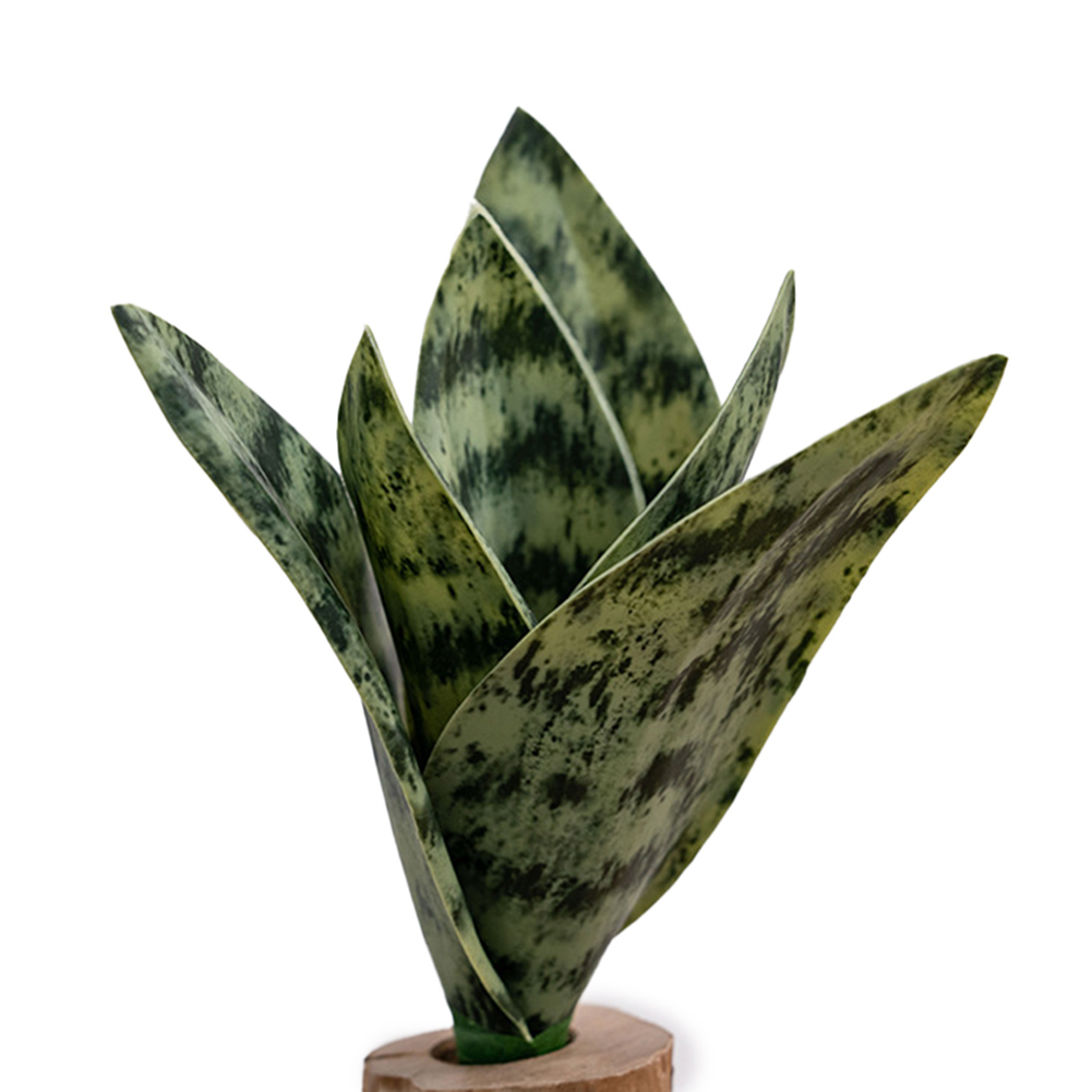 Artificial PVC Snake Plant Rea - Home Of The Year Bathroom 评论和价格