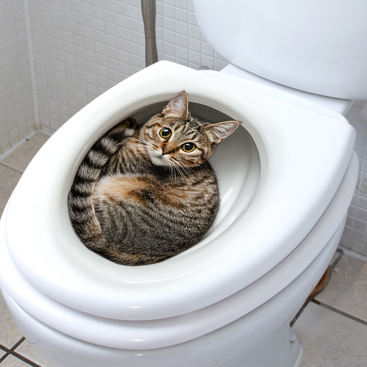 3D Funny Cat Toilet Sticker Ba - Home Center Bathroom Accessories 评论和价格