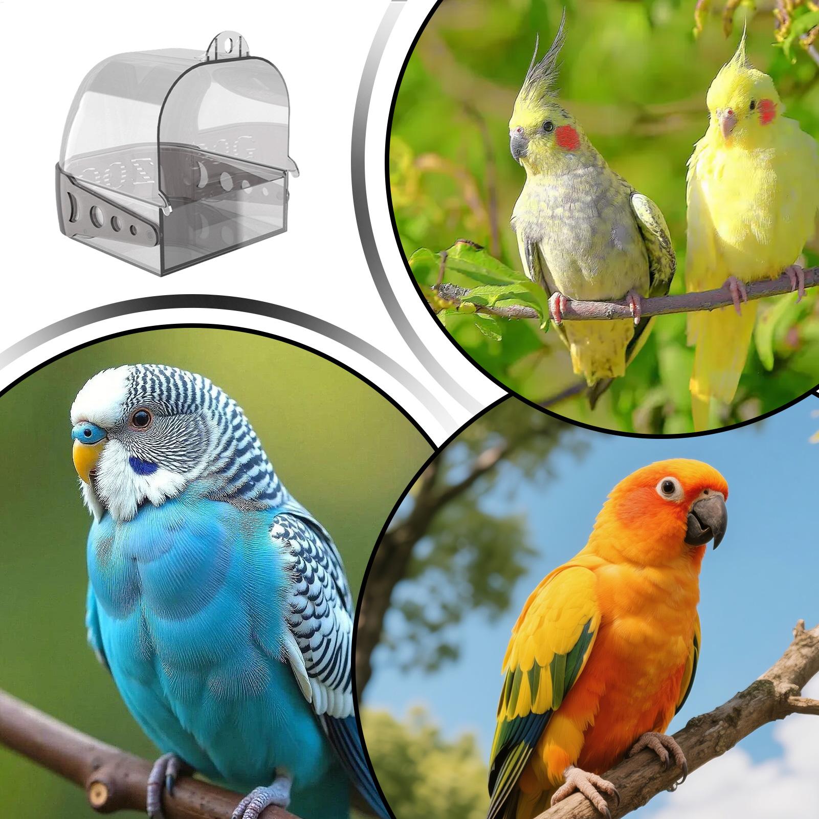 Parakeet Bath Hangable Detacha - Home Bath 评论和价格